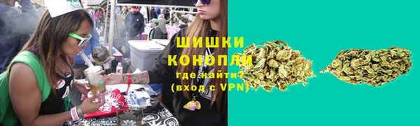 спайс Баксан