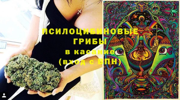 молекула духа Балабаново
