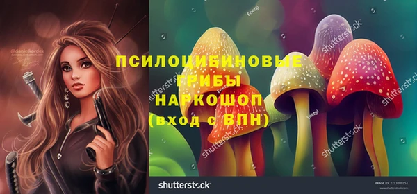 спайс Баксан