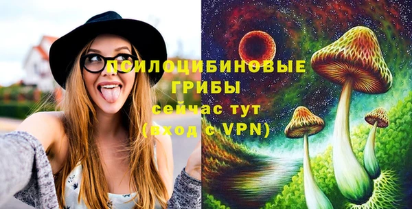 молекула духа Балабаново