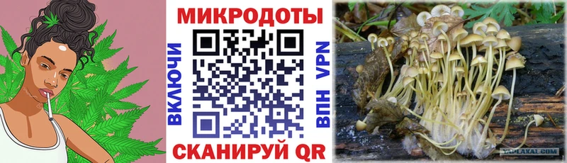 Псилоцибиновые грибы ЛСД  Монино 
